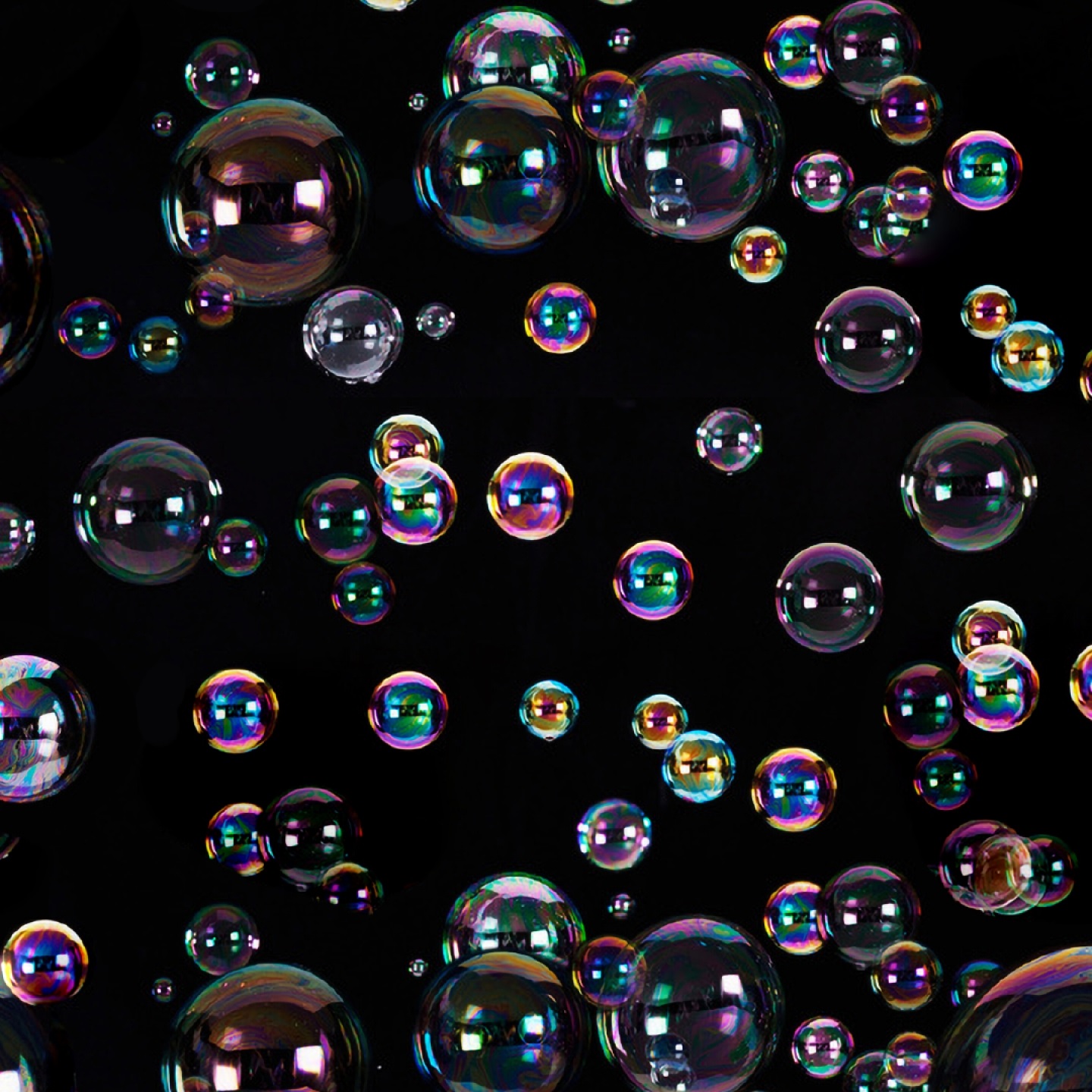 Softshell "Bubbles", 97%PE, 3%EL, 145-150cm breit, 310 g/m²