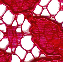 Laces with gimp, chili/red