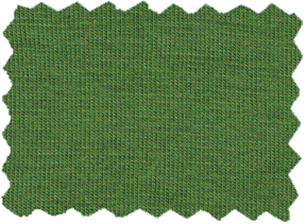 Bio-Baumwoll-Jersey schilfgrün aus kontrolliert biologischem Anbau 93% Bio-Co, 7% El, 150cm, 220 g/m² 330g/lfm