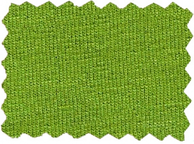 Elastic-Jersey schwer pistaziengrün, ÖkoTex-zertifiziert, 94% Viscose, 6% Elasthan, 150-160cm breit